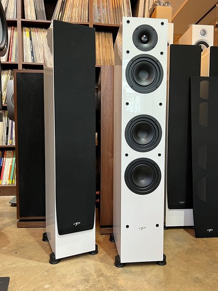 Paradigm Monitor SE 3000F