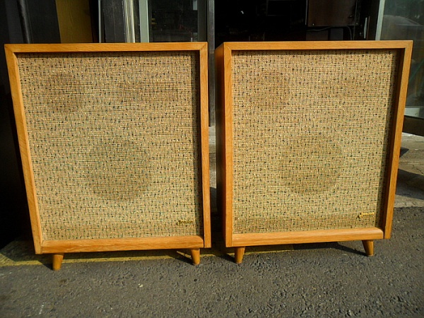 jensen (젠센) CN82