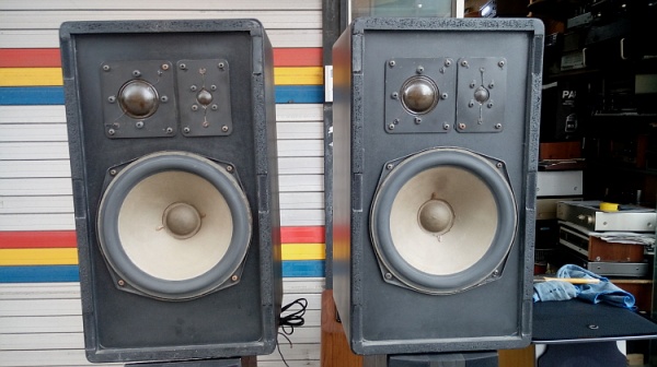 BRAUN (브라운) L830