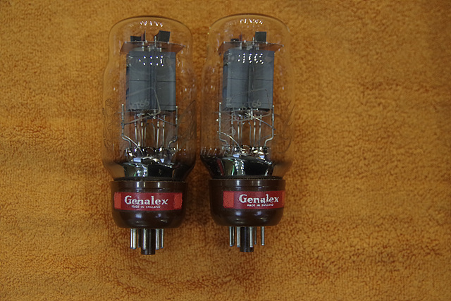 GENALEX GOLD LION .  KT66 (GENALEX GOLD LION) . 