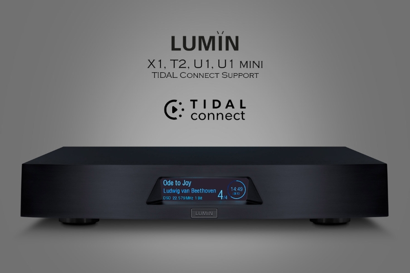 루민 (LUMIN) 루민 (LUMIN) T2 네트워크 플레이어